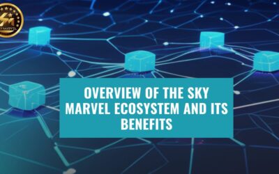 Overview of the Sky Marvel Ecosystem and Its Benefits